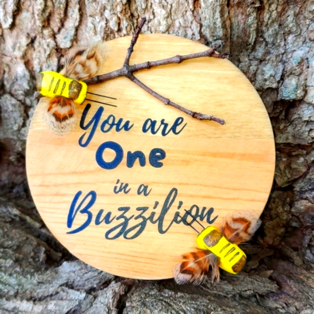 You are One in a Buzzilion Bee Wood Sign